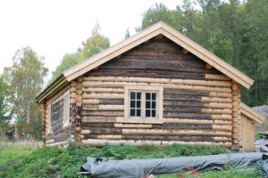 den031015lottestehusmannsplass