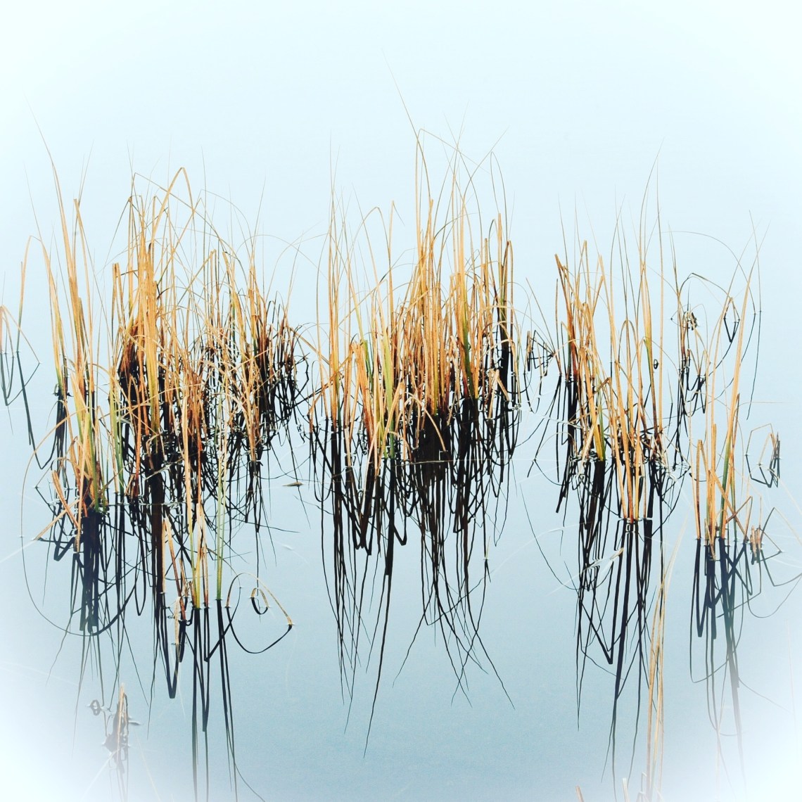 den231115fjerdebildepertrygve