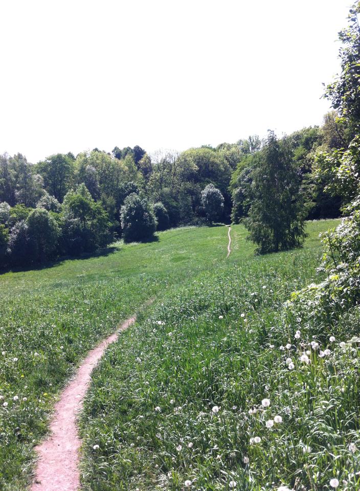 1926819_10152474956565281_1200167971820998263_n