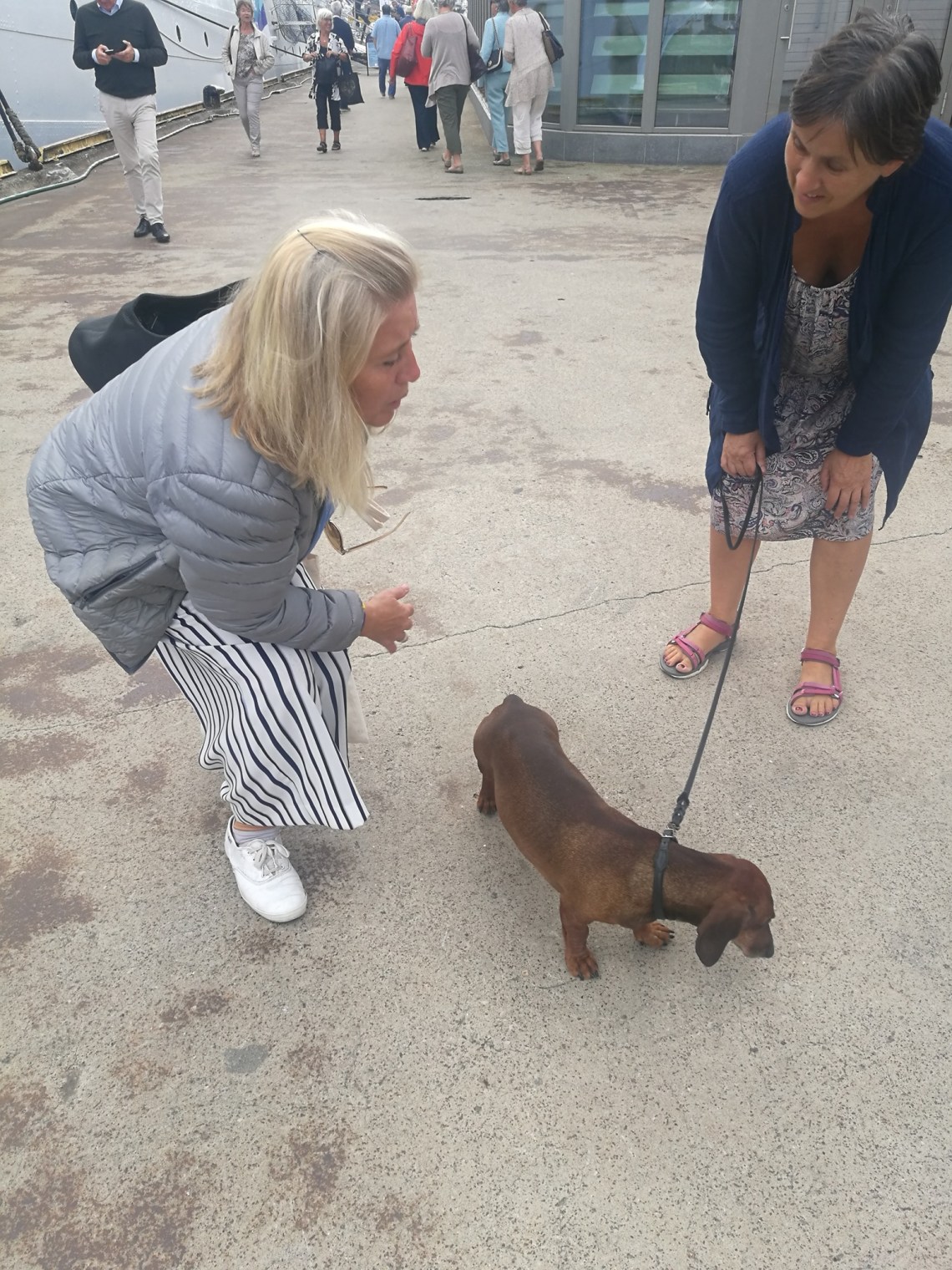 68414357_2351718531564319_4692905598046437376_o