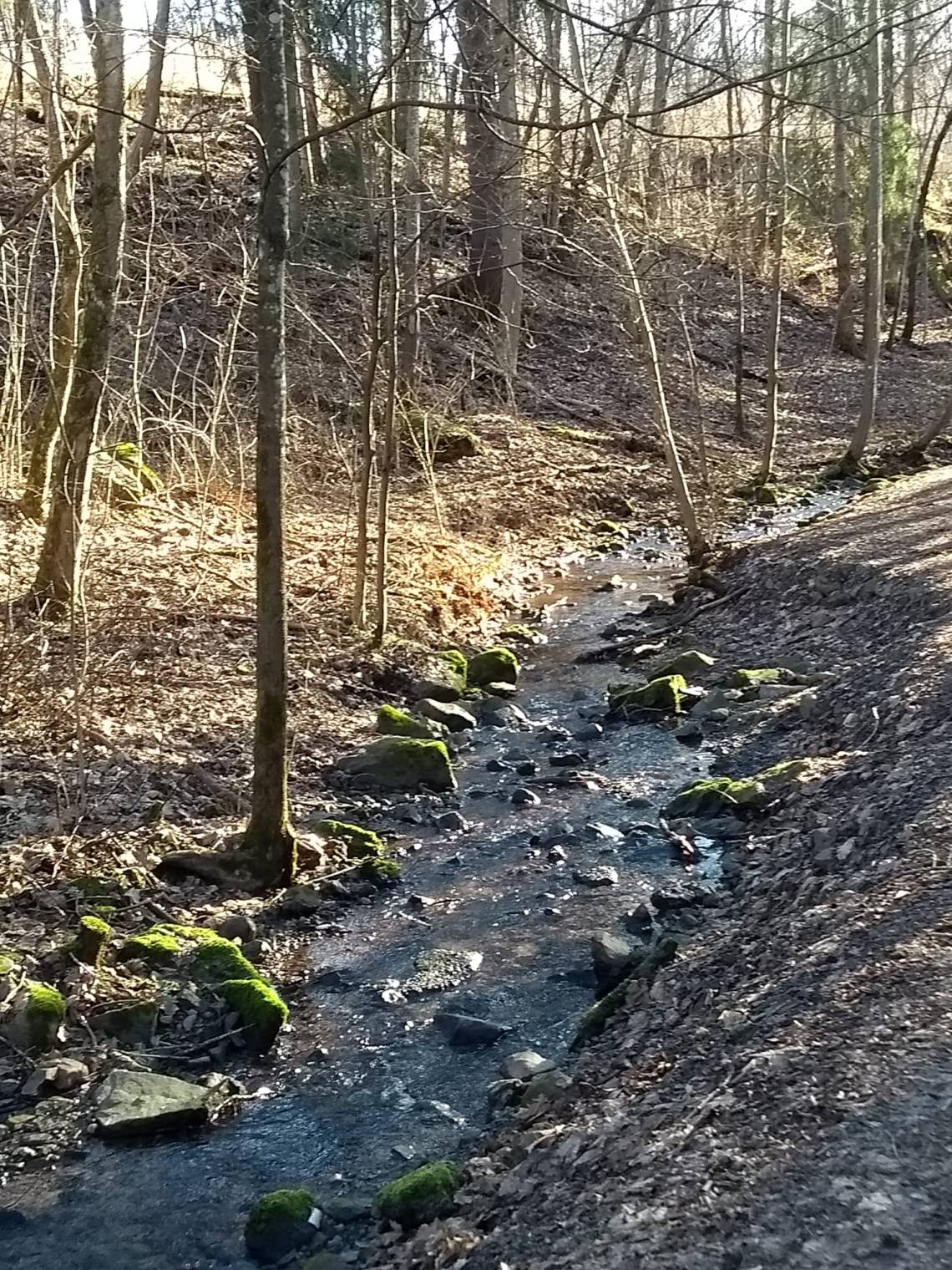 85066130_10157802722625281_4586238341493555200_o